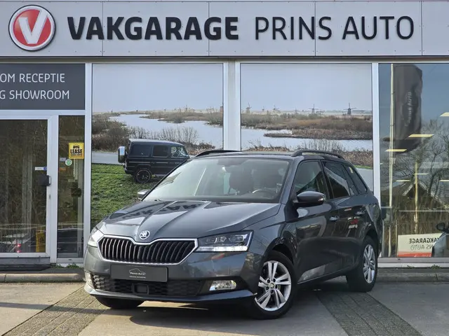 ŠKODA Fabia Combi 1.0 TSI Style |BTW |CARPLAY/ADROID AUTO|STOELVERW.|DEALER ONDERHOUDEN| 18078 / 441...