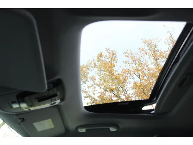 Kia Niro EV DynamicPlusLine 64.8 kWh Nieuw Model! | Navigatie Half Leder Schuif-kantel dak Electrisc...