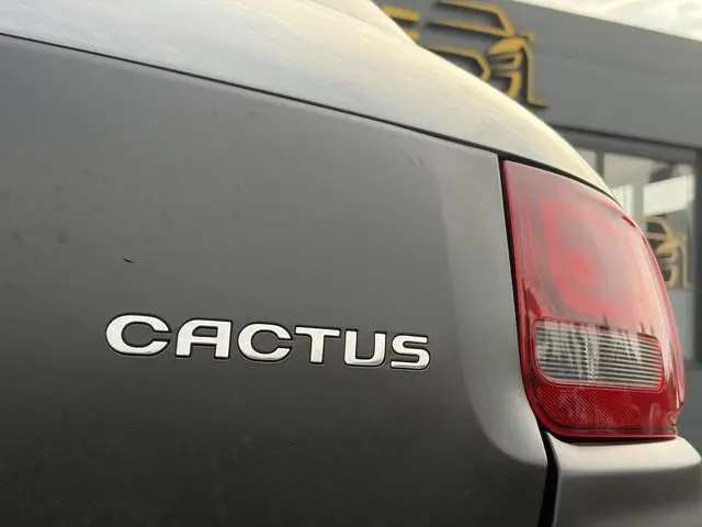 Citroën C4 Cactus