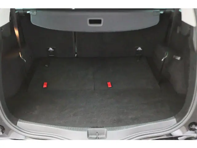 Renault Grand Scénic