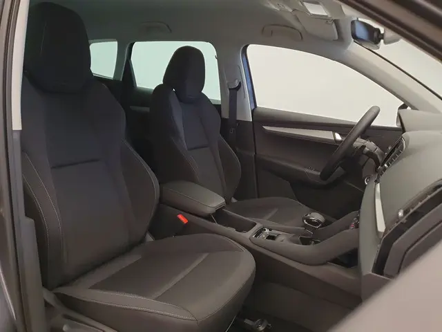 ŠKODA Karoq 1.5 TSI 150pk DSG/AUT Business Edition Camera, Winterpakket, Climatronic