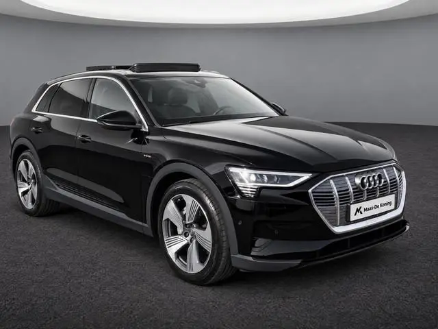 Audi e-tron 55 quattro edition 300kW/408PK 95 kWh · Panoramadak · Trekhaak · Stoelverwarming ·