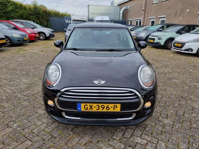 Mini Mini