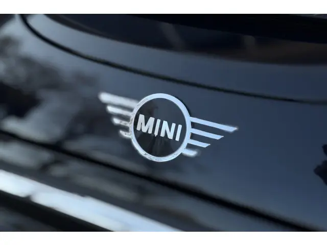 MINI Electric