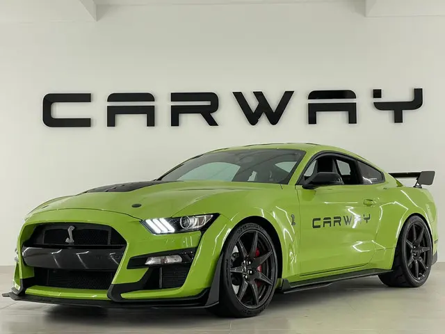 Ford Mustang GT500 Shelby Track Pack