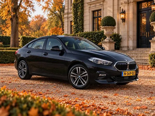BMW 2-Serie Gran Coupé 218i Sport Line Aut. l Pano l LED l HiFi l Sportstoelen