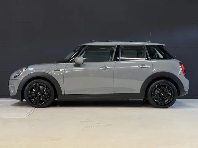 Mini Mini