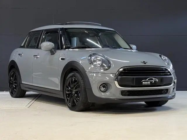Mini Mini