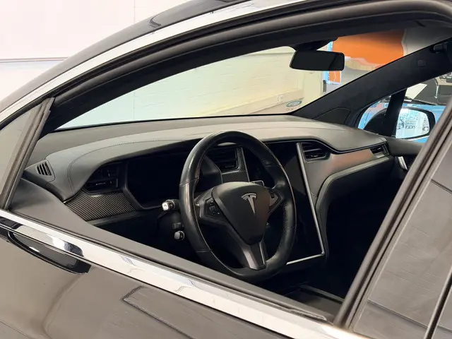 Tesla Model X 100D 7p. | 22inch Lichtmetaal | SOH 88% | NL-Auto