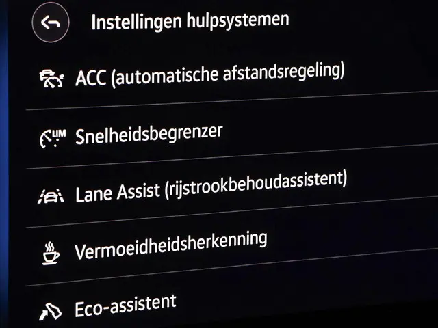 Volkswagen ID. Buzz Cargo