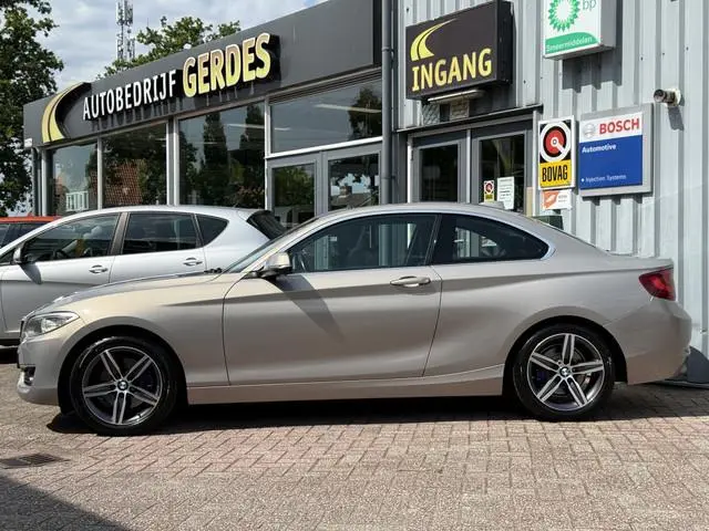 BMW 2-serie Coupé 220i Executive | AUTOMAAT | PANO | NAVI | PDC | TREKHAAK |