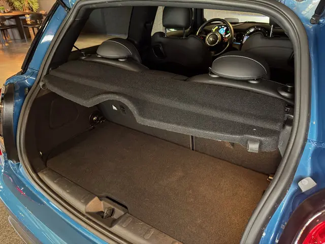 MINI Electric