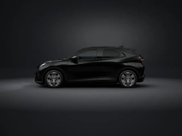 Cupra Raval