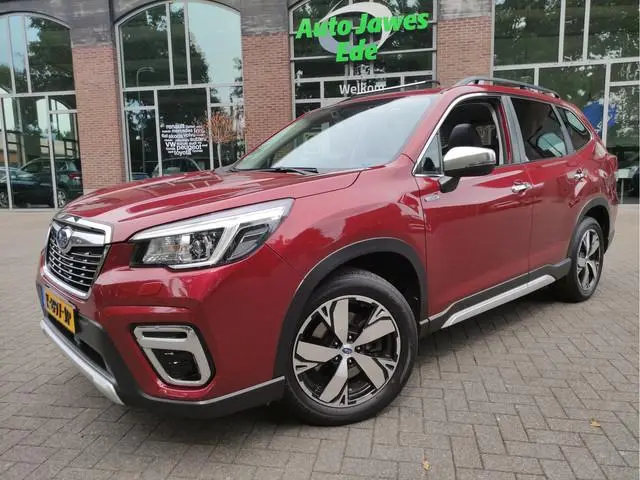 Subaru Forester 2.0i e-BOXER First Edition Afn.trekhaak - Panoramadak - 18Inch LMV - Leder - NL auto