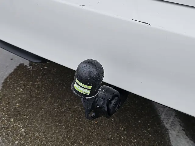 Volkswagen ID. Buzz Cargo