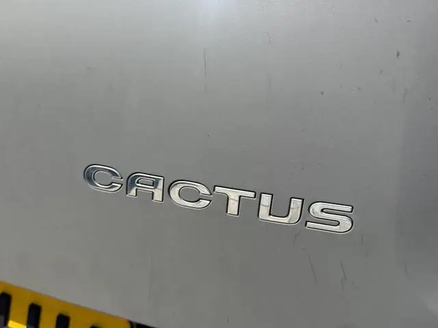 Citroën C4 Cactus