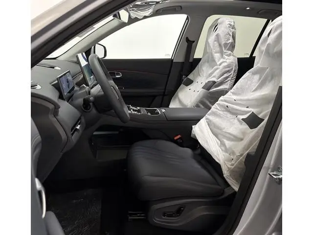 Geely Starray EM-i