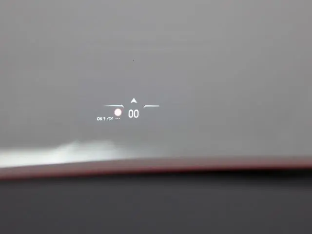 DS DS 4