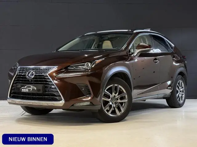 Lexus NX 300h AWD Luxury Line | 116.000km | Schuifdak | Apple Carplay | Camera