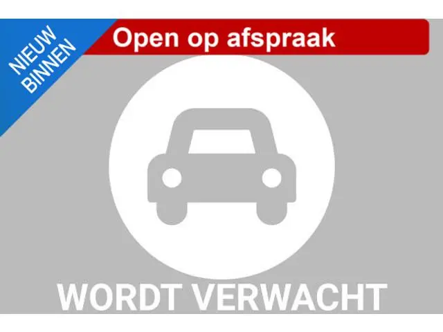 Tesla Model Y Performance AWD 75 kWh | Hoge instap | NIEUW BINNEN | SOH |