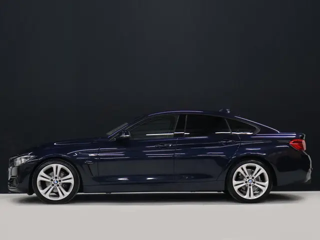 BMW 4-serie Gran Coupé 420i High Executive [APPLE CARPLAY, CRUISE CONTROL, PDC V+A, BMW LED, STOELVE...