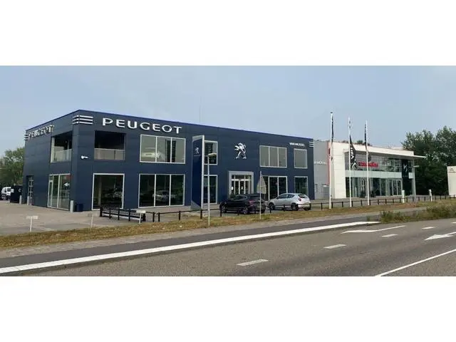 Peugeot e-3008