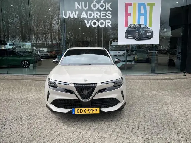 Alfa Romeo Junior