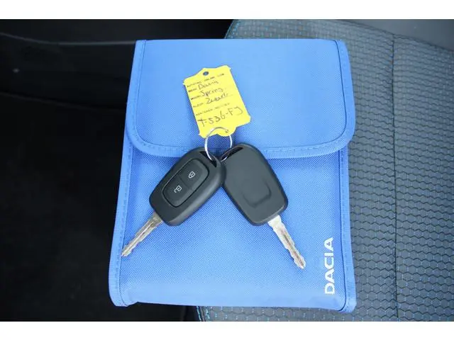 Dacia Spring