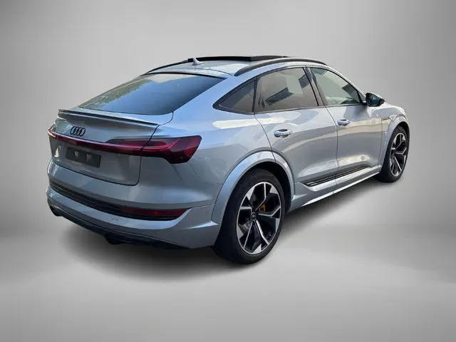 Audi e-tron Sportback S 503pk Quattro 95 kWh · SOH 96,2% · Panoramadak · 360 Camera · Luchtvering ·...