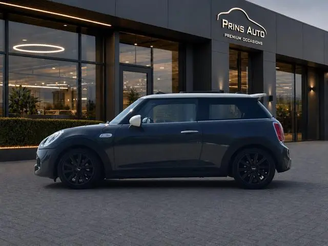 Mini Mini