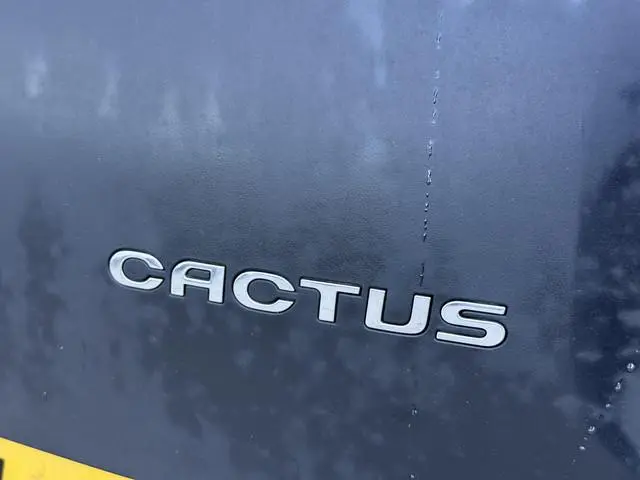 Citroën C4 Cactus