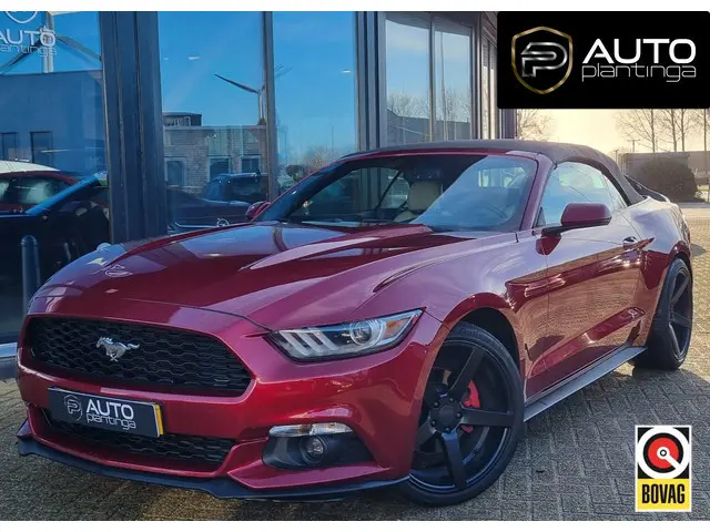 Ford Mustang Convertible 2.3 EcoBoost 317PK | Grote Beurt gehad Dec 2025 | Achteruitrijcamera | Keyl...