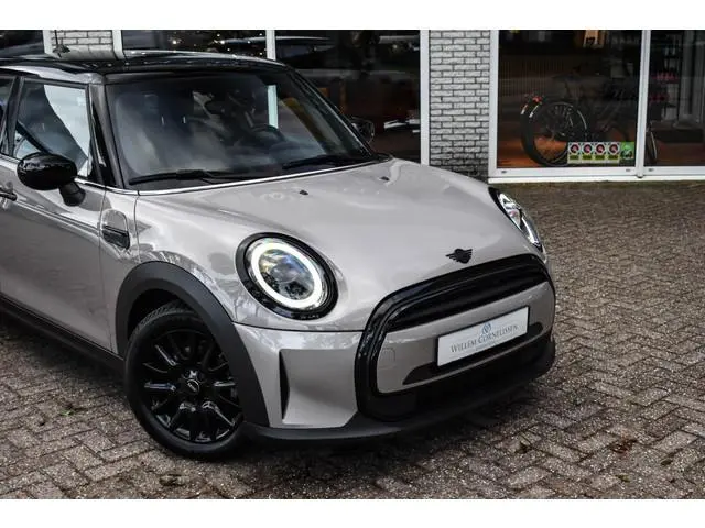 Mini Mini