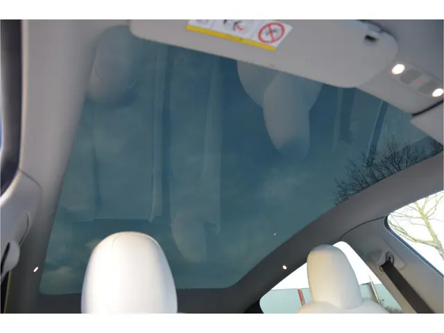 Tesla Model Y Long Range AWD 75 kWh Trekhaak (1.600kg), 20" Alu, BTW auto