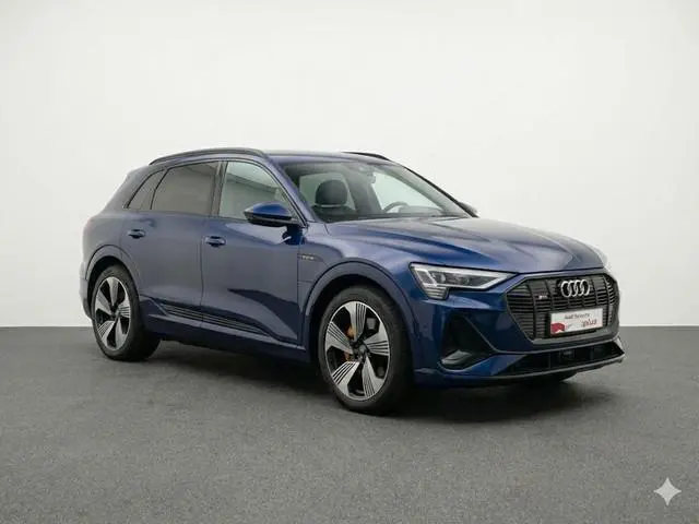 Audi e-tron 50 quattro S edition 71 kWh 313pk | Panoramadak | Adaptieve cruise controle | Lederen be...