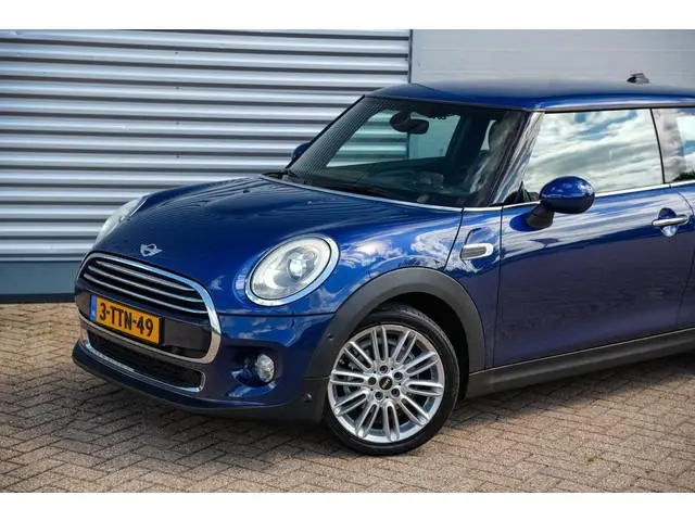 Mini Mini