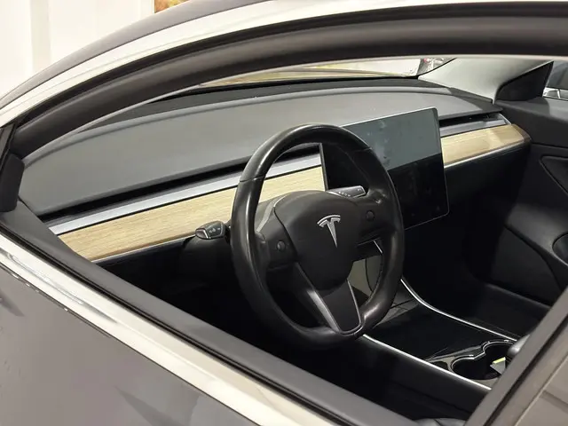 Tesla Model 3 Long Range AWD 75 kWh | 19 inch Lichtmetalen velgen | Autopilot | SOH 81% |