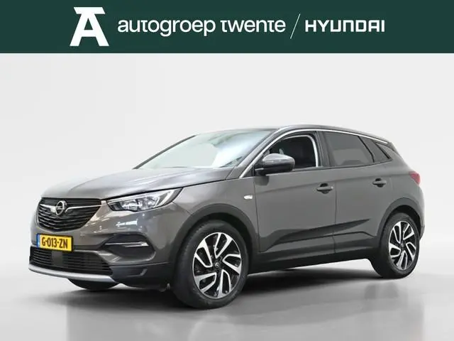 Opel Grandland X 1.2 Turbo Business Executive | Trekhaak | All-seasons
