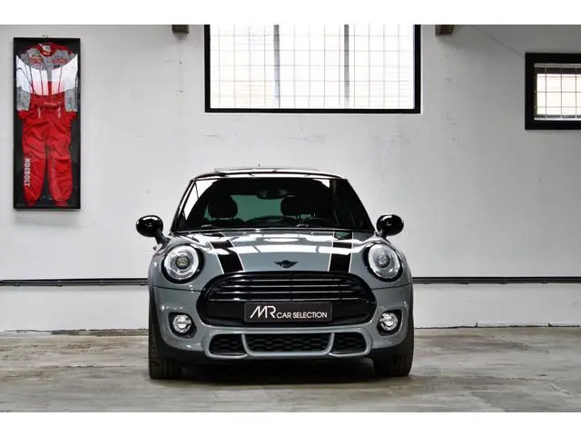 Mini Mini