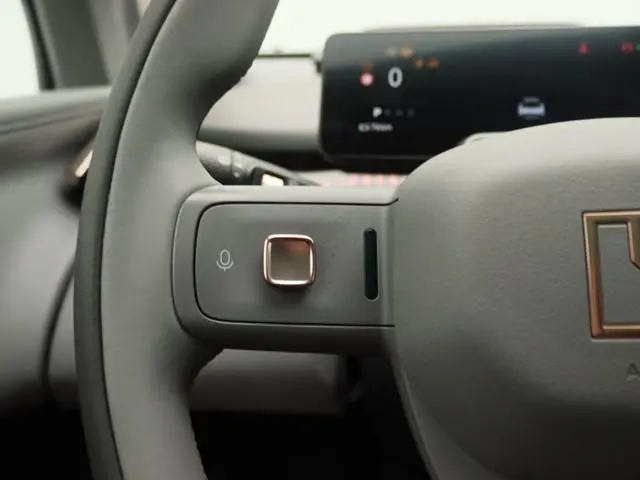Zeekr X