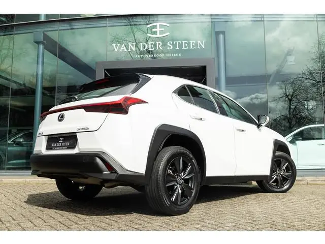 Lexus UX 250h Business Line | Groot Scherm | Camera