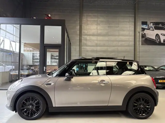 Mini Mini