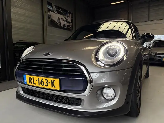 Mini Mini