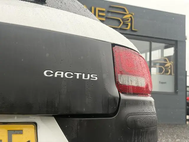 Citroën C4 Cactus