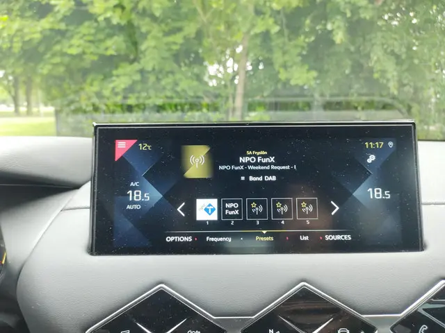 DS DS 3