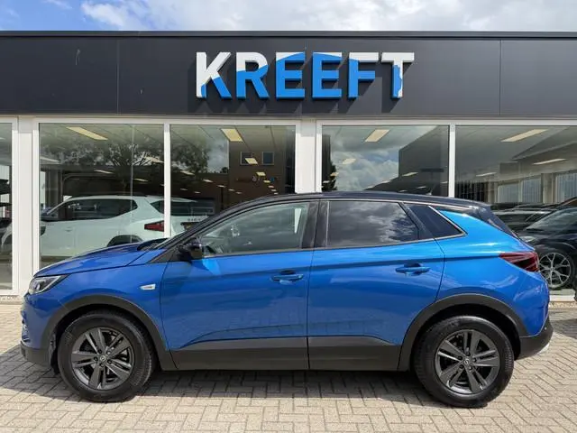 Opel Grandland X 1.2 Turbo Ultimate Stoelverwarming | App Connect