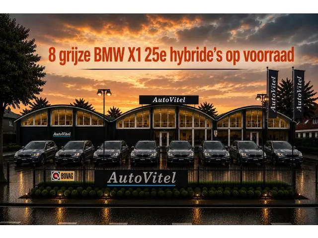 BMW X1 xDrive25e | Leder | Stoelverwarming |PDC V+A | Privacy Glas | LED | NAVI