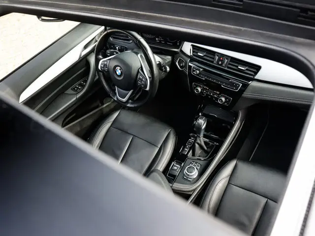 BMW X2 xDrive25e High Executive 1e-Eig. & Keurig-Onderh. BOVAG-Garantie.