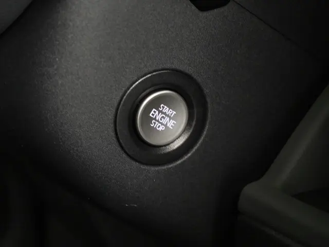 Volkswagen ID. Buzz Cargo