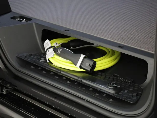 Volkswagen ID. Buzz Cargo